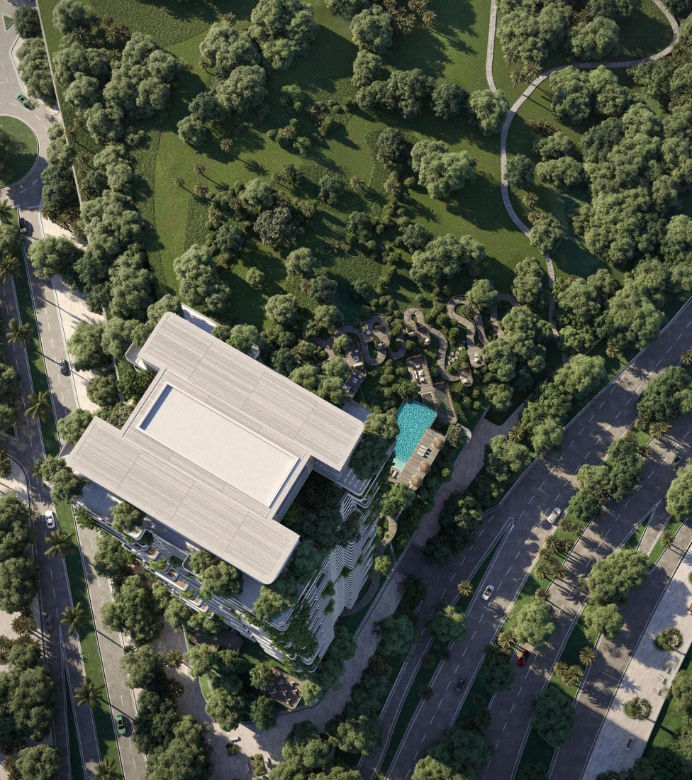Talea, developer render