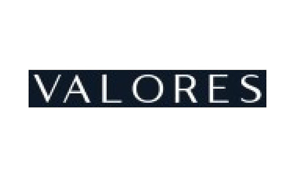 Valores Property Development LLC logo