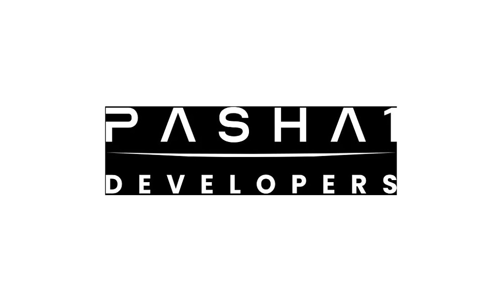 Pasha1 Developers logo